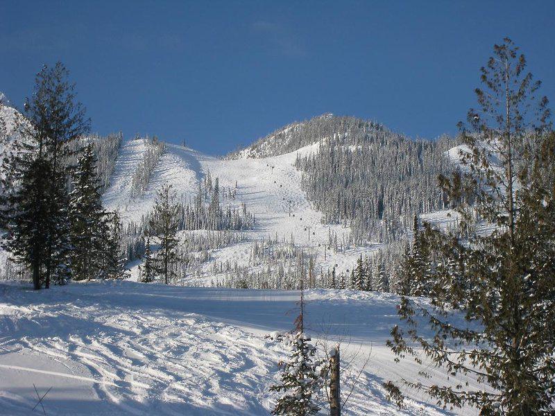 27FE97BC81FDD2BE00B3816E6A4902E6