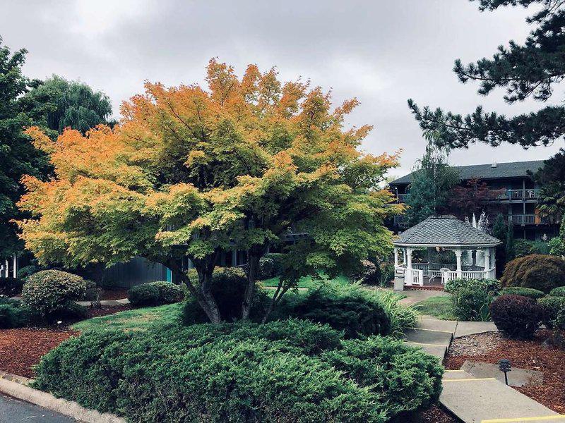 B01447A5C6C24AD695EB4A0666410A0E