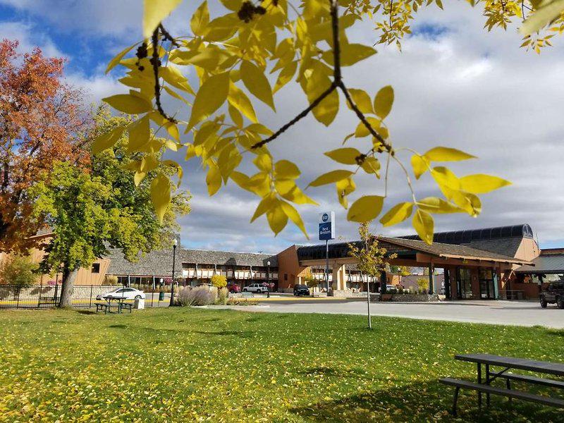 1B63DAC3215340FBE9195C08E6985390