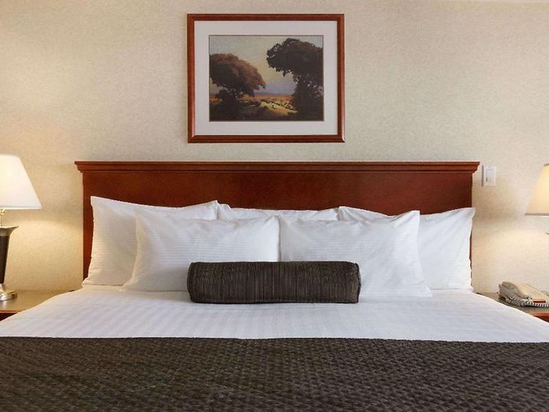 17B76939BA27E02C6D60756EF457F237