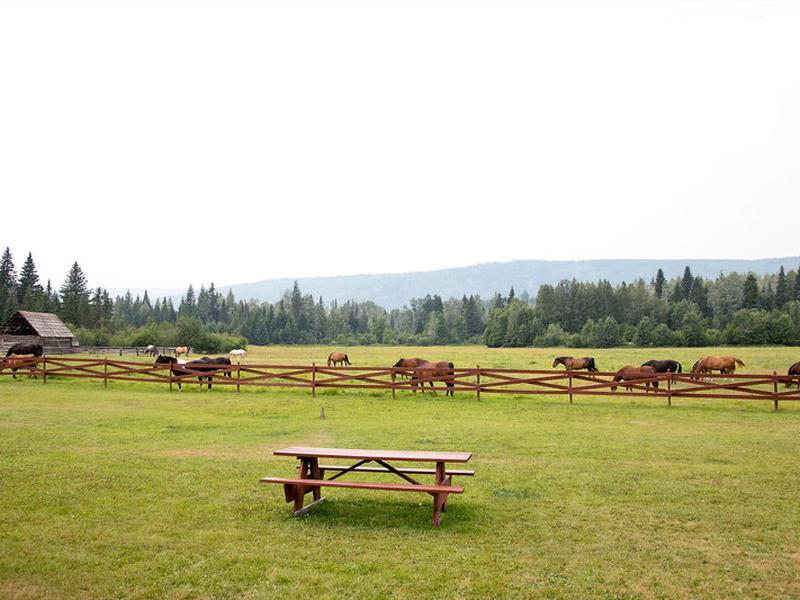 D1476CE3766834D68AFEB14E26580D6A