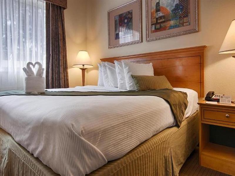 784A03B77B770BE5F275215B9FF1A20F