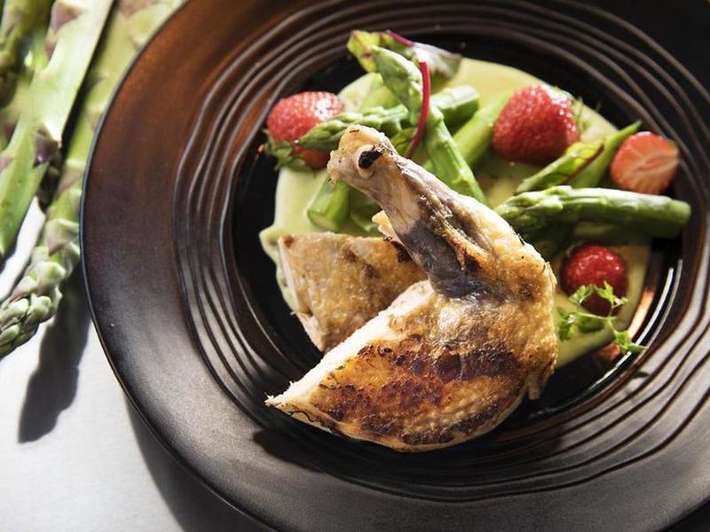 7EB6EF1DD5F4217F46A1FF99CB749922