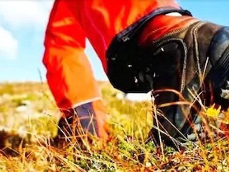 7424DD96D30A48273D3C2465EB9070AD