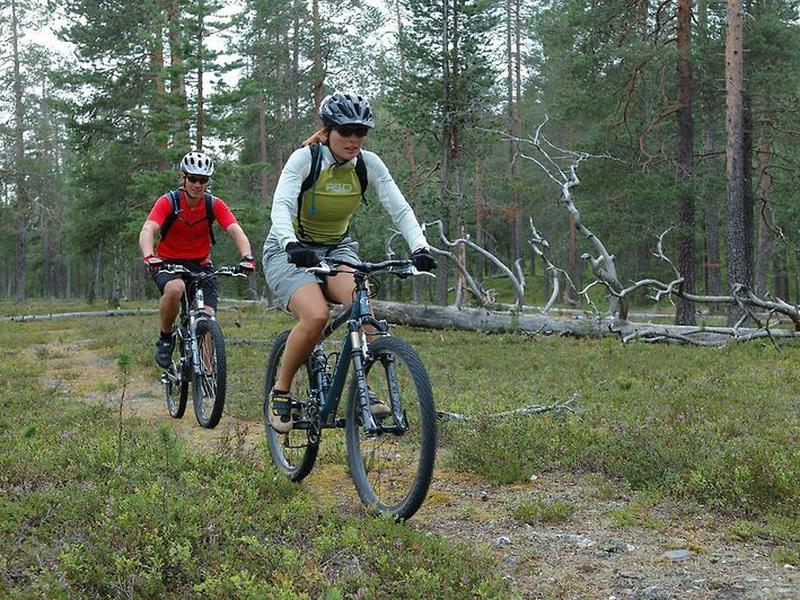 993D7BFF8BE72FBBFD8A1DE808BACC8C