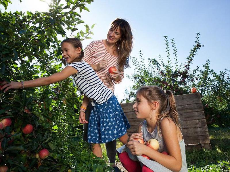 2A27B876659A80CFDDE142BA852F9714