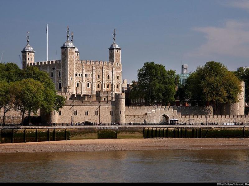 12F193F809D0C576B4ED633AEAE7798B