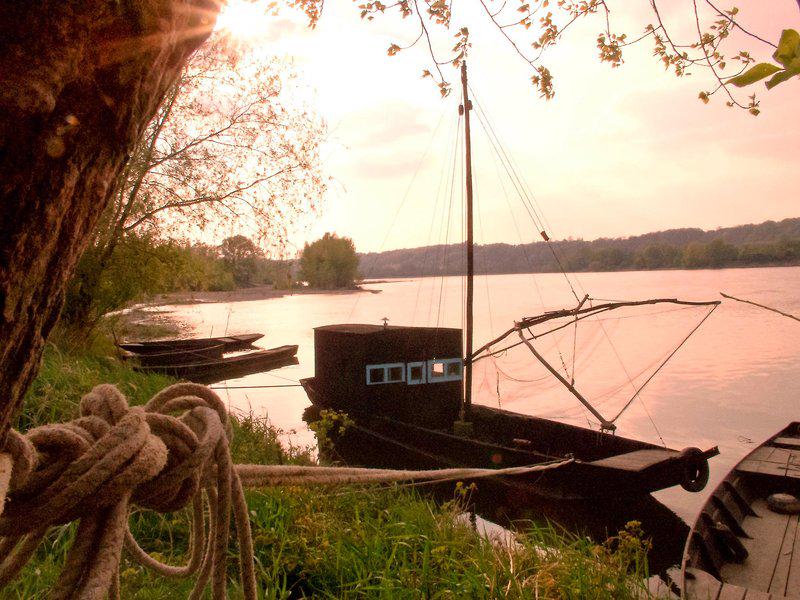 674D816B0337A9355D6DCC4BD4CC9591