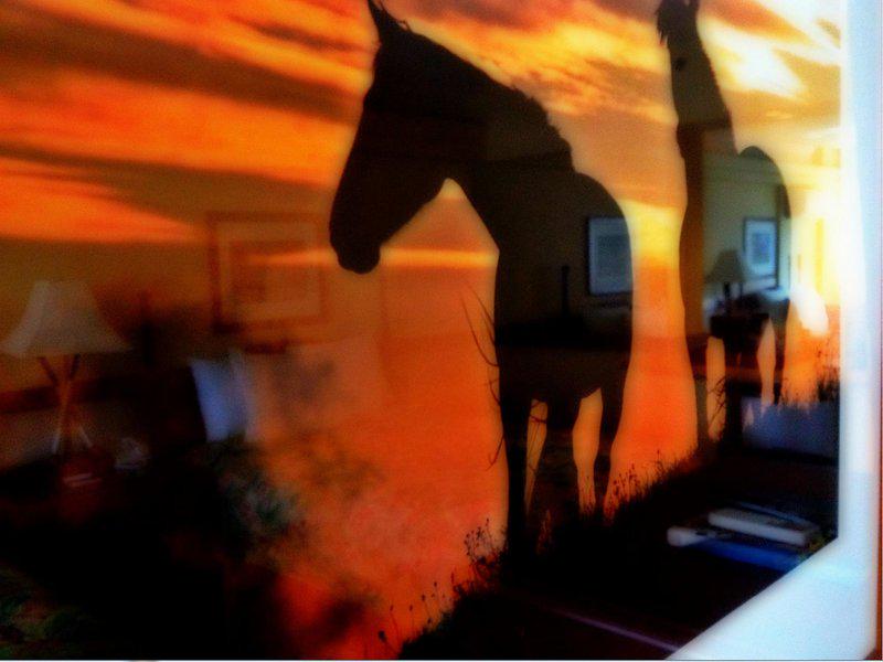 41A621D52D1A805C6E1BCA443020C778