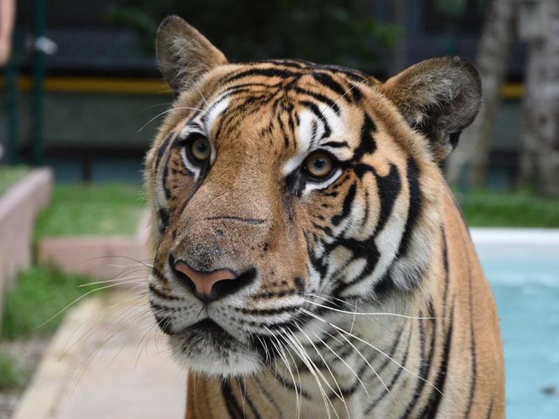 DEA4A0D243AA86680DA31E1C6F46C82C