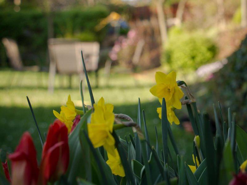 A4A47E89E6EBC3F2E10E2A0987854777