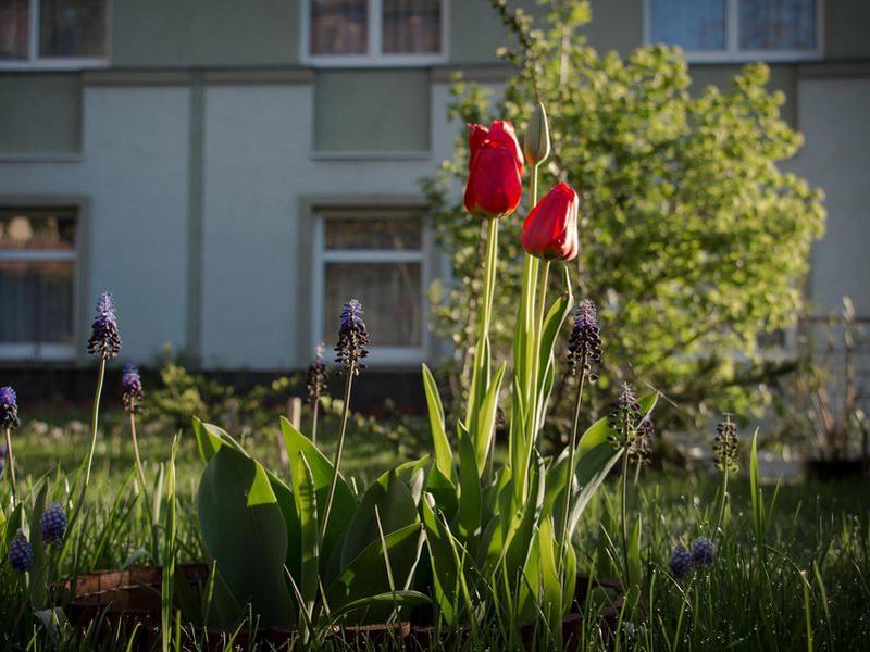 315D826514A41650C1F7C705CBEE010F