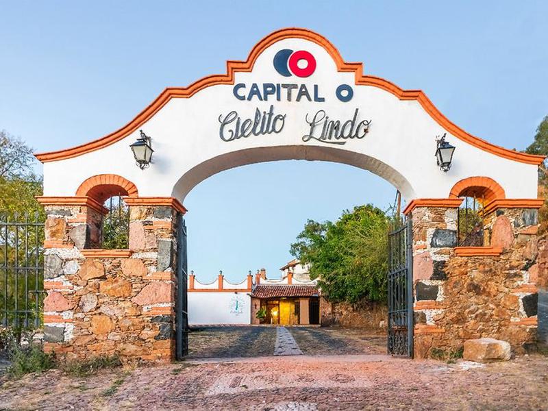 80A266C624E48A1D12B9A1789D3D3FF6