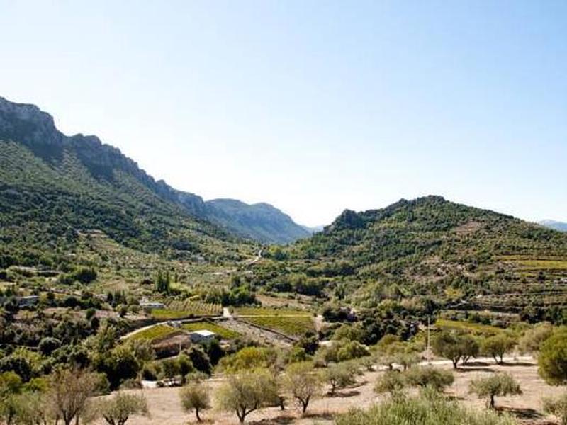 FBAFA8F2BFCE65899ED176C92FA6D559