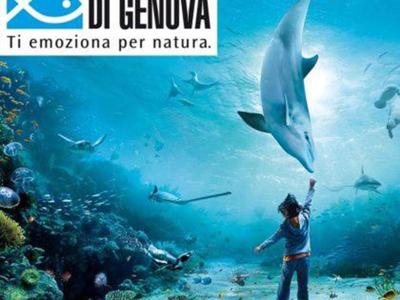 543FE05E0CC7A14D67127CDED713279B