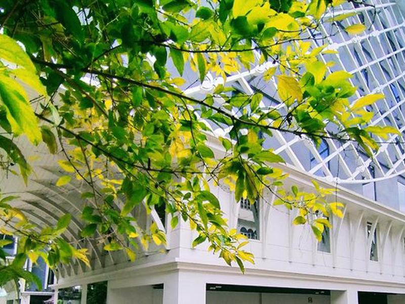 7B4026CFC3820711071E3DD1E05A8B4F