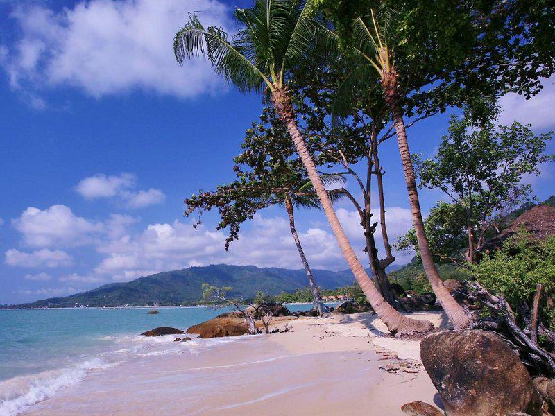 B279DDF1325E73D17BC4FFE9955E3C27