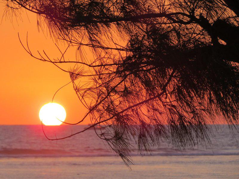 2DA4C2D3343563636046870627352C6D