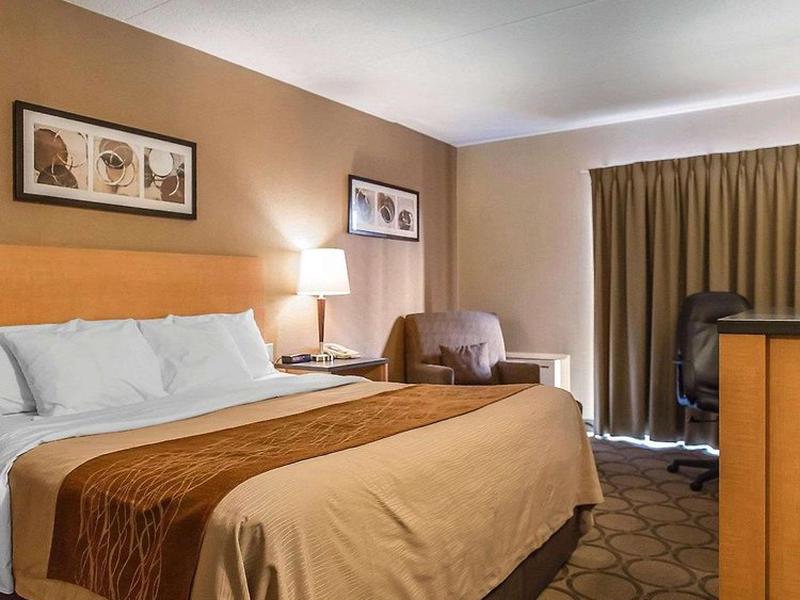 D09DA476AE97EAD996A5B4B0EBEF8C23