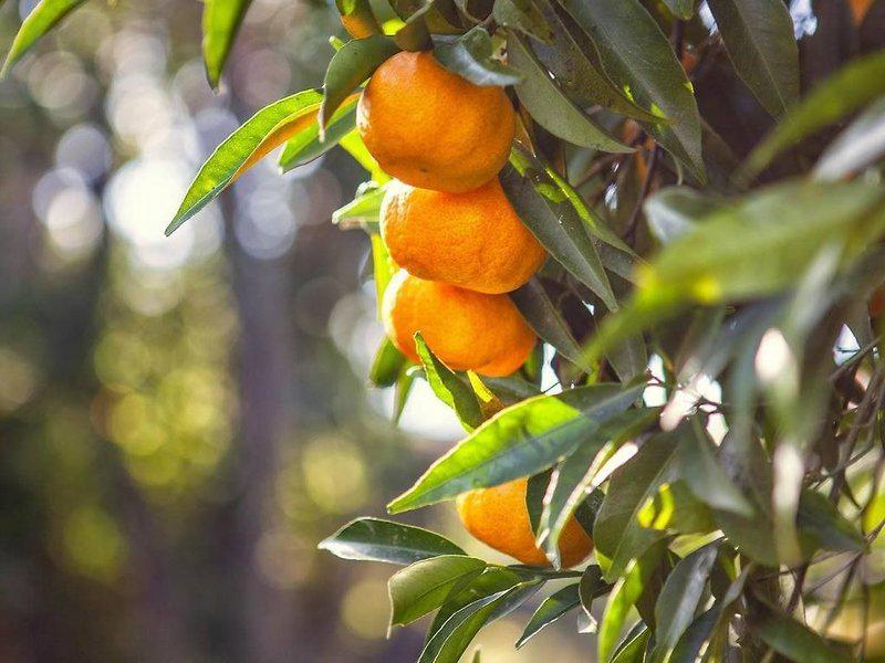 B5B04A14B9421A8BB3315926DD88018B