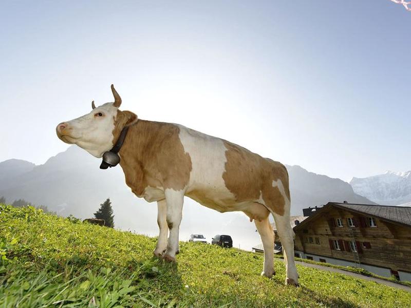 F50421AAEDA62F7F59579856C18214C9