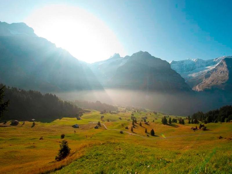 87F002E183398BBD473D99A00222ACA8