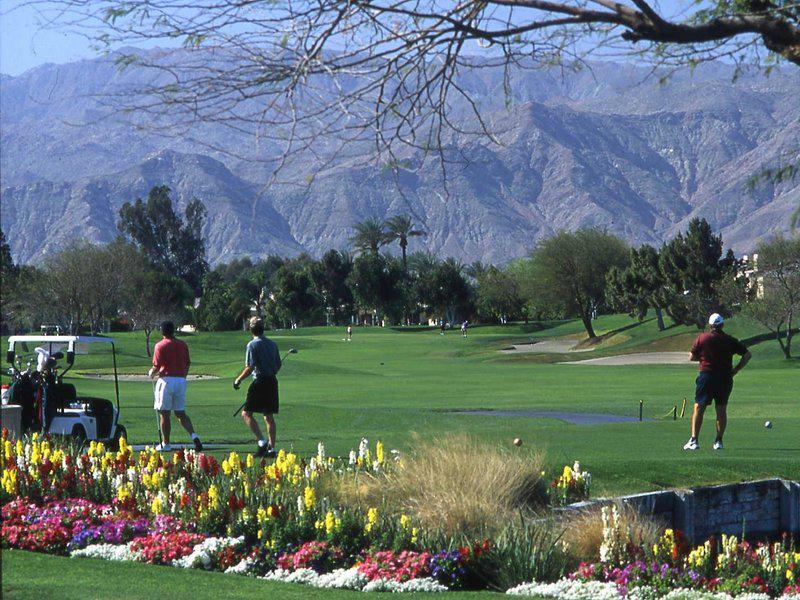 DC78C59752D5CC584D7D2F43A1183847