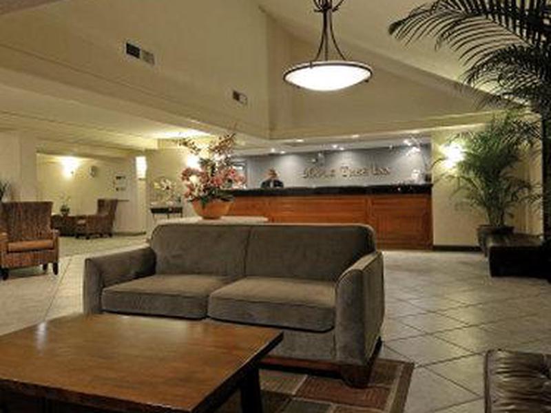 9D0812C518EB54C0337A9C5A2BE6C21F