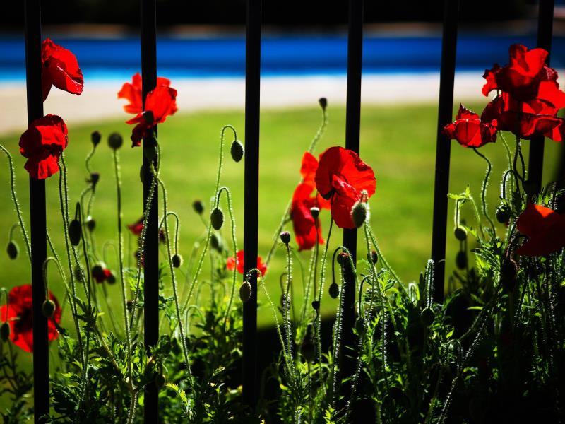 F468DF97CD87075C705E40740F2CA291