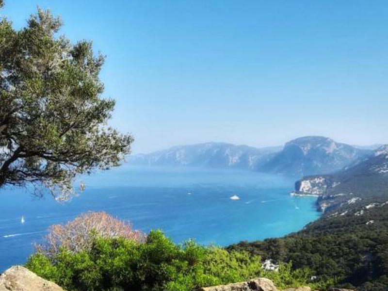 C8772D08E8A85739B5076D589C5DC938