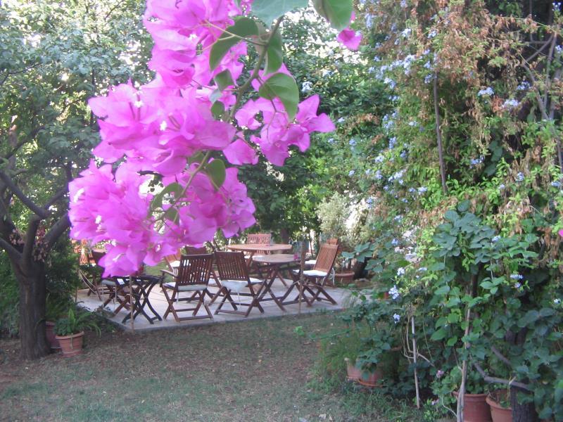 49F0396482C2508D694D9565F519D102