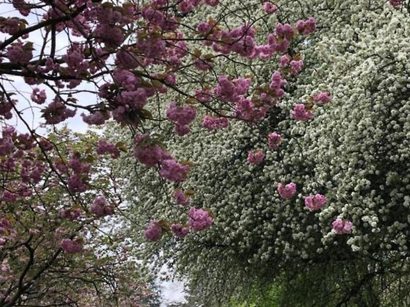 796D9EA516AF2F176D9D7B8307C112D4