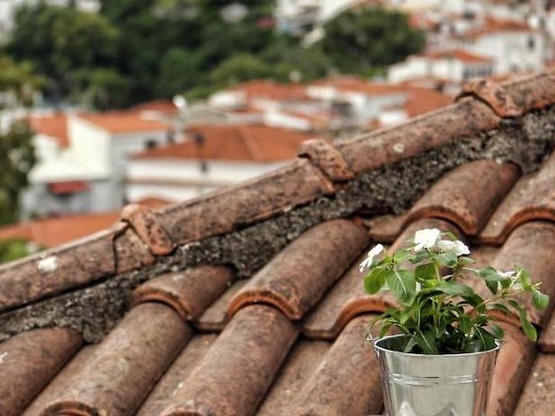 9B1B86FF2B2A7E36976087BBA8CEFA1F