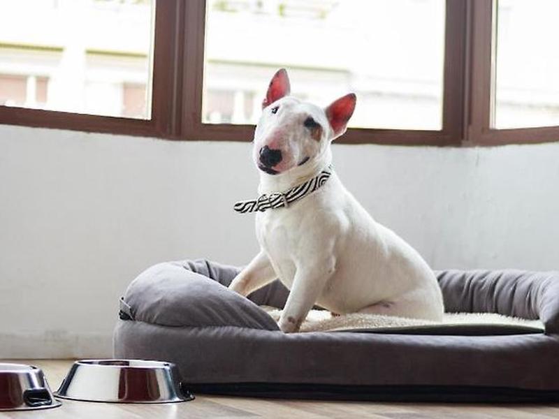 DFCCB0FFB5D3906D313A5E80CF3ABFB1