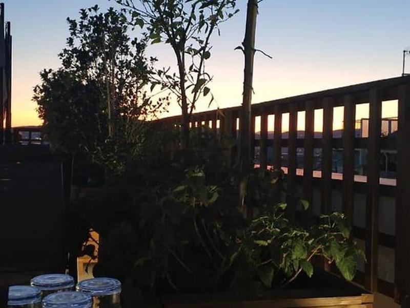 B33EC28806503A7BCACCFA023AE357FE