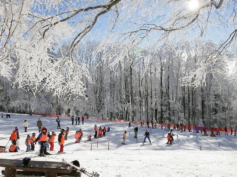 B433392ACEB5CE90F312F975232C4555