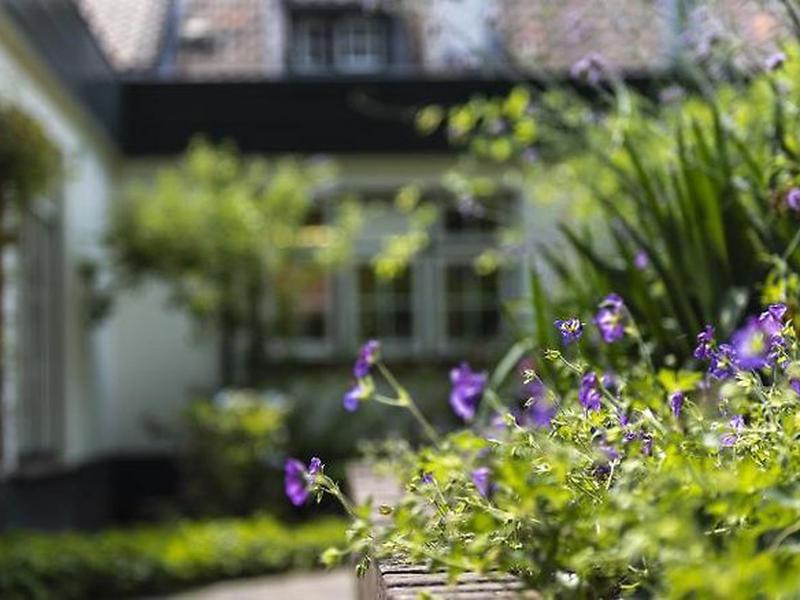 B3FE0551CEE4231F059E7C82FAACB886