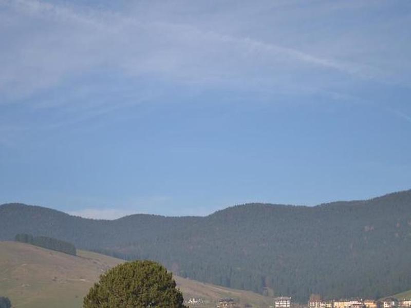 EF96DD36850C8179C5DE4926A4CA2FAC