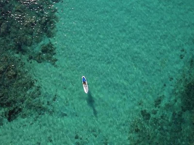 C45D3FC28384E19DE7DE88C8B26655AA