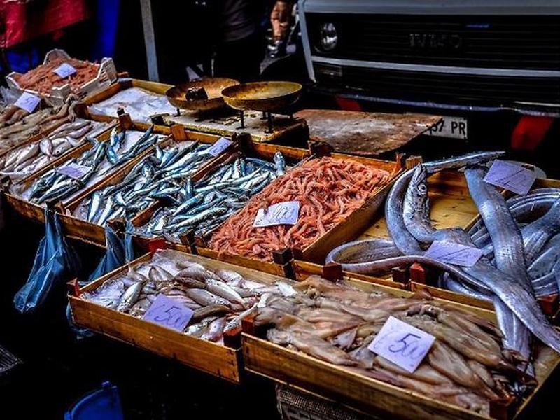 3D67BFC099007709D0E115ED11999AC6