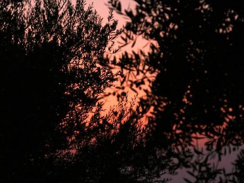 35A05BEA4F7BF5A79340AEB51535F160