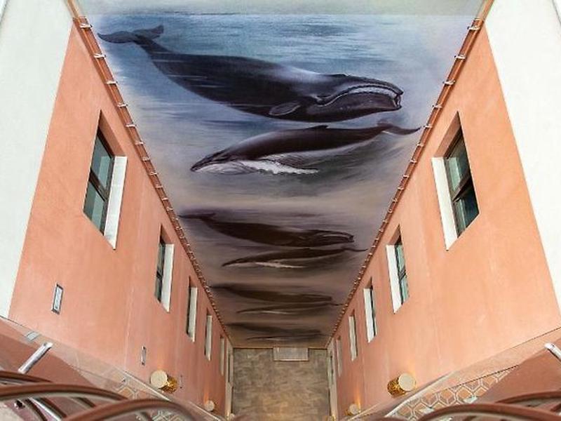 4DE001D4F252D06BD75D9E2CB51725D3