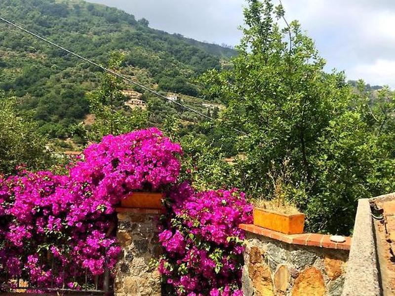 4601D8DC108970DC468FE14D07303FC1