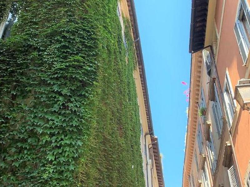 842103DA44782D51B8C00E0FAAD0B5BD