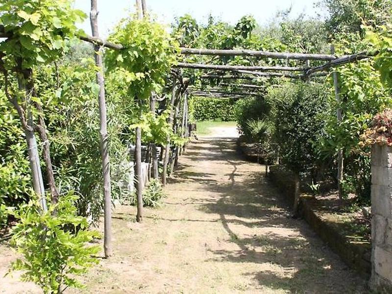 0BE57E7DEB1E445FCFADE2D4FB4D10D6