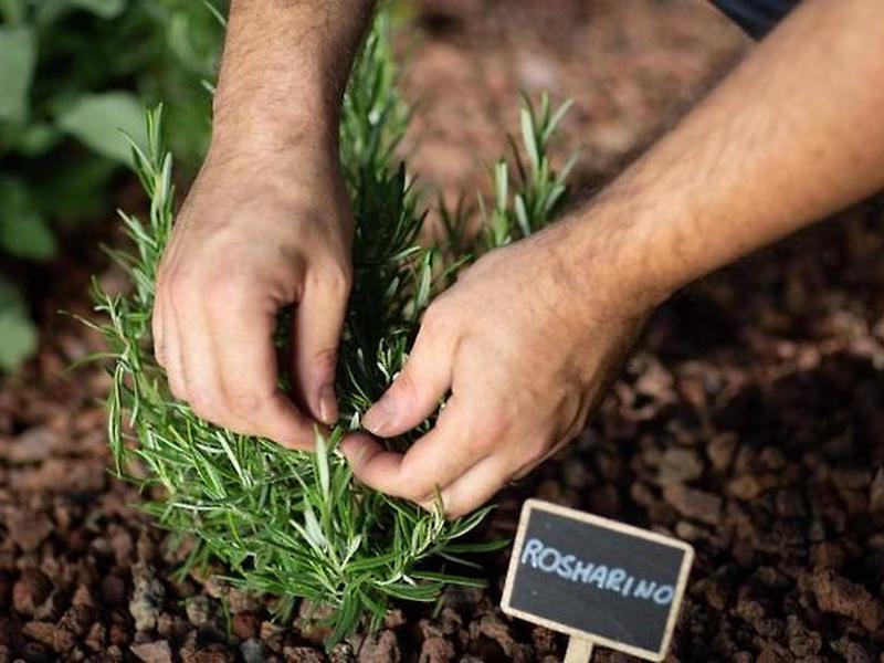 17297016550F3135D8C1420343395745