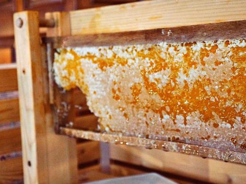 A962ECCEE69CA3428967704F3E71DF84