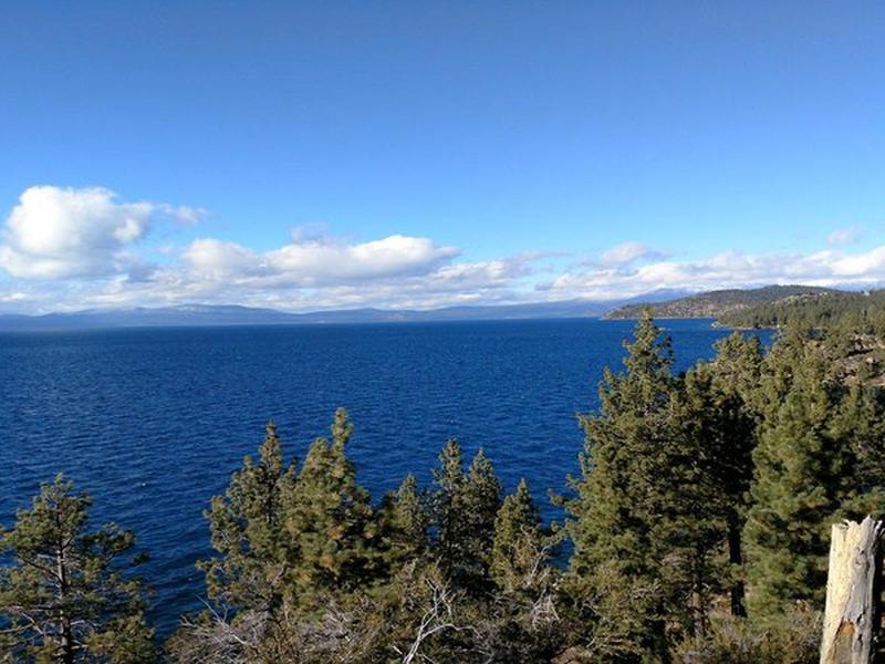 A2372E11B2A5D1F719BF2266A25B0F40