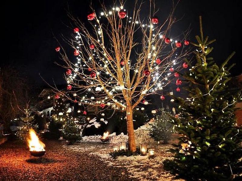 9DB9F2D0C6EBFD609990C518DB7D69F8