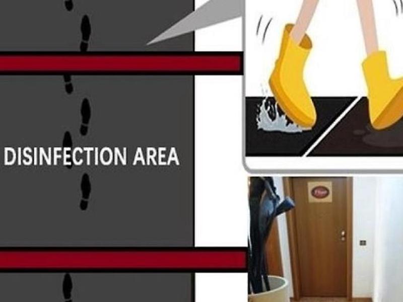 E79E6D167E8FC8C8D653C91A3339B2EC